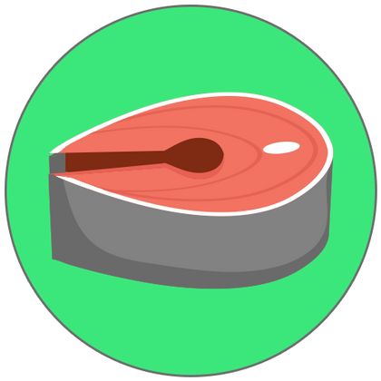 Fresh Frozen Salmon Products