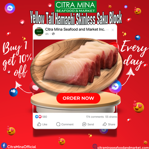 Frozen Yellow Tail Hamachi Skin less Saku Block (250-350 Grams)