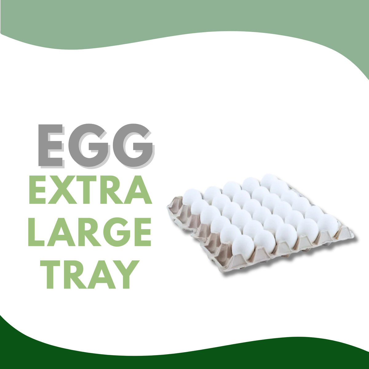 Retail:EGG Extra Large 1 Tray with Paper Tray – Citra Mina